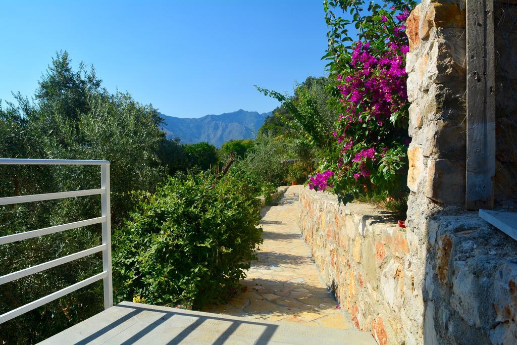 Villa Goxhi Borş Oda fotoğraf